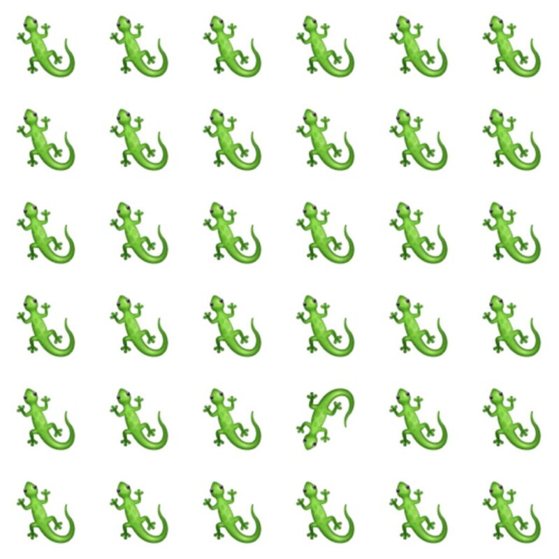 Fun Picture Quiz image