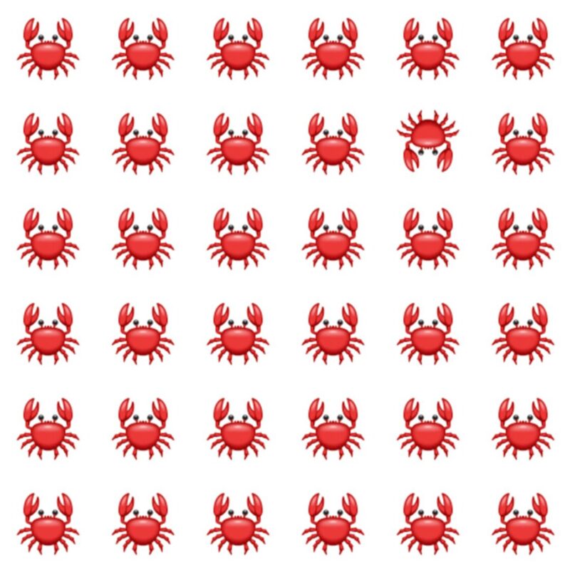 Fun Picture Quiz image