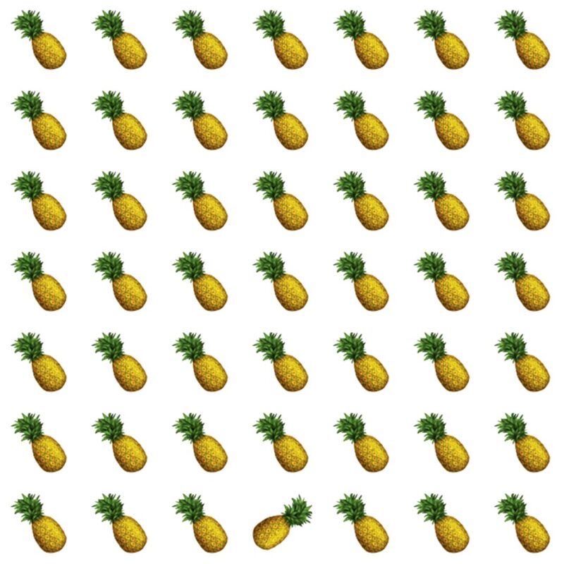 Fun Picture Quiz image