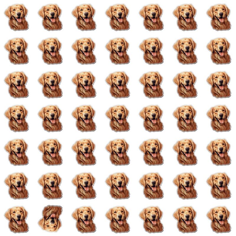 Fun Picture Quiz Puzzle image Fun Picture Quiz image
