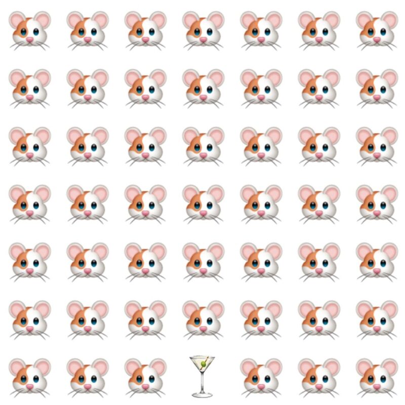 Fun Picture Quiz image