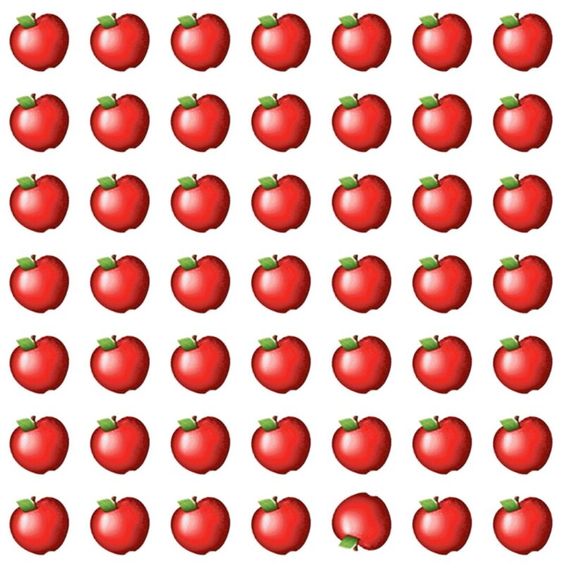 Fun Picture Quiz image