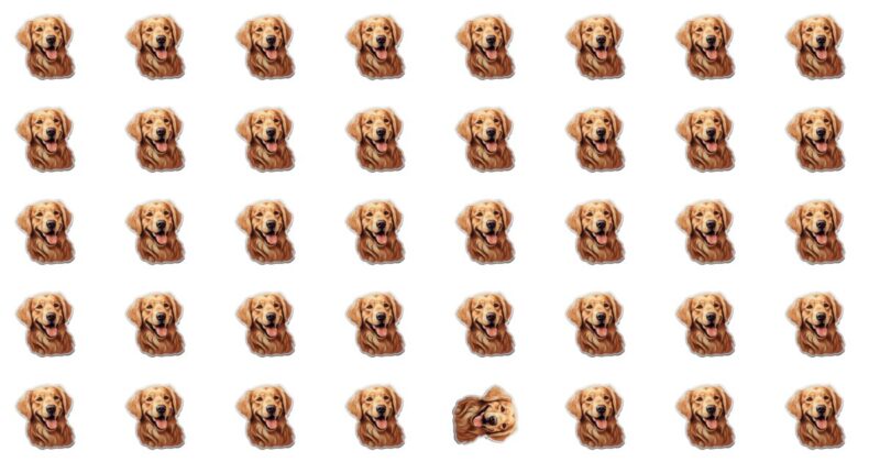 This Odd Emoji Puzzle Is Called Impossible
