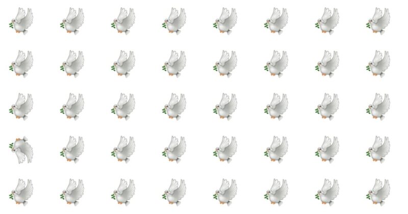 Spot The Odd One – Get Ready For The Ultimate Test!