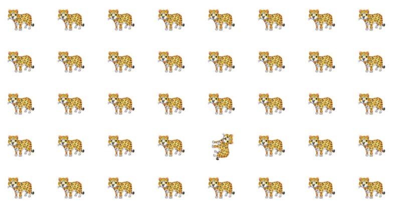 Only Special Few People Can Ace This Difficult Odd One Out Visual Puzzle. How About You?