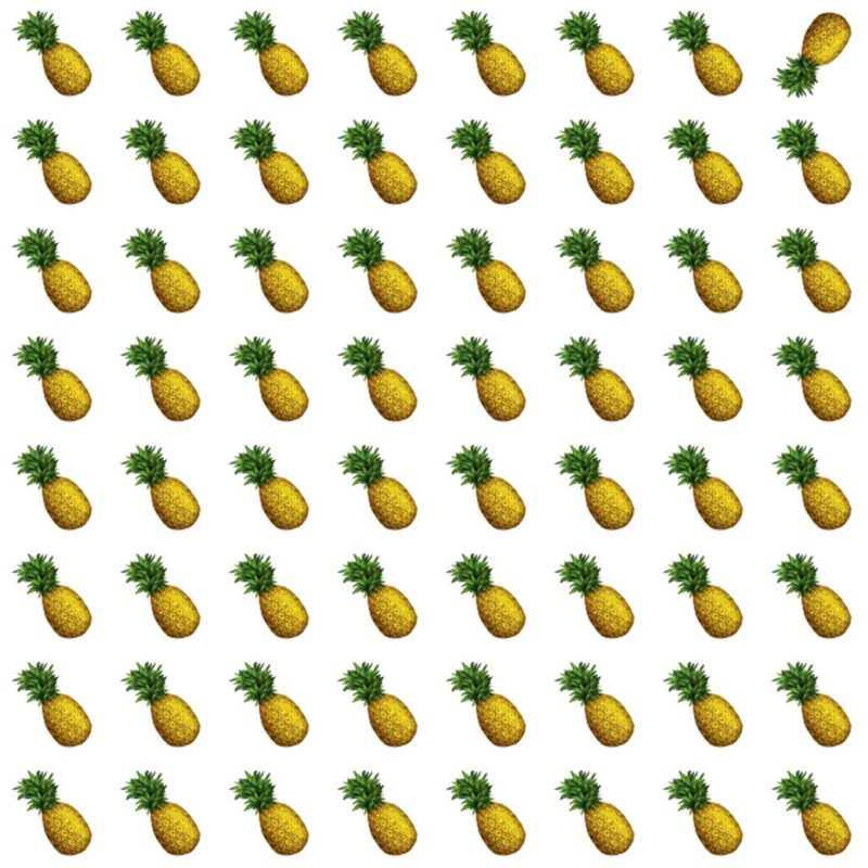 Fun Picture Quiz image