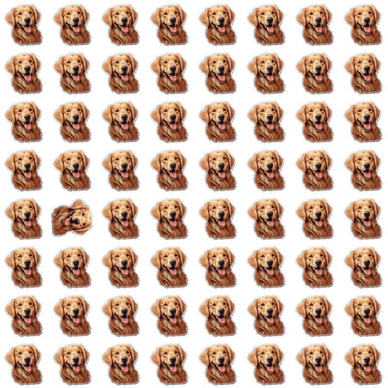 Fun Picture Quiz Puzzle image Fun Picture Quiz image