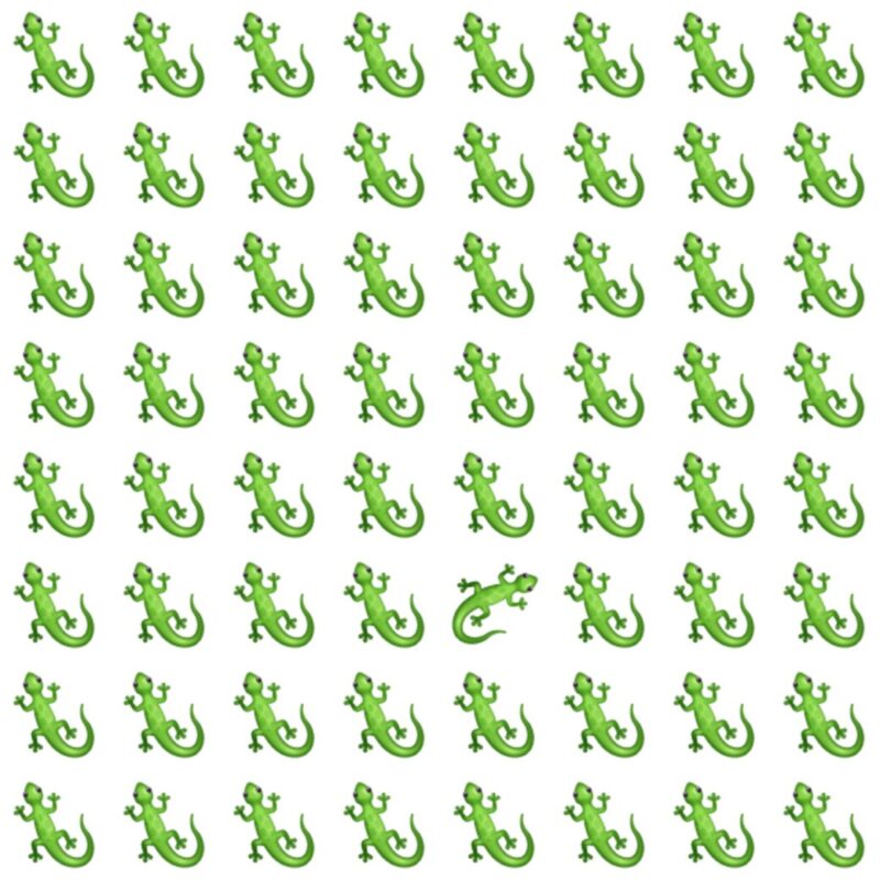 Fun Picture Quiz image