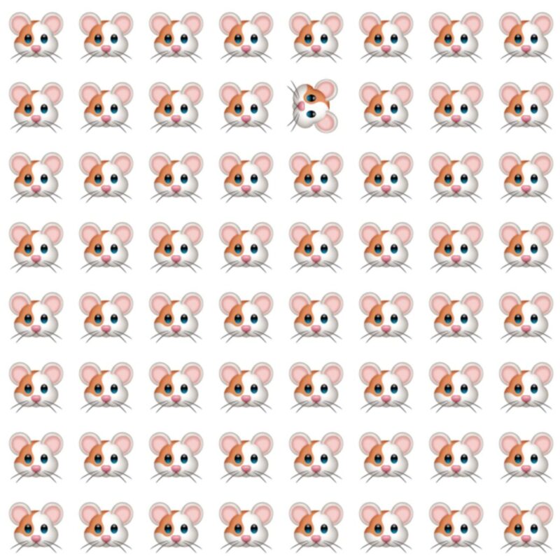 Fun Picture Quiz image